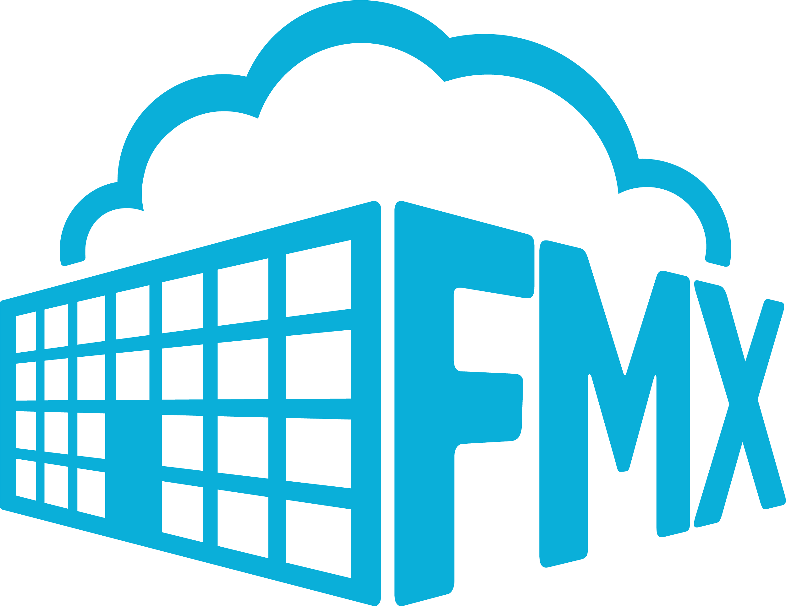 FMX logo